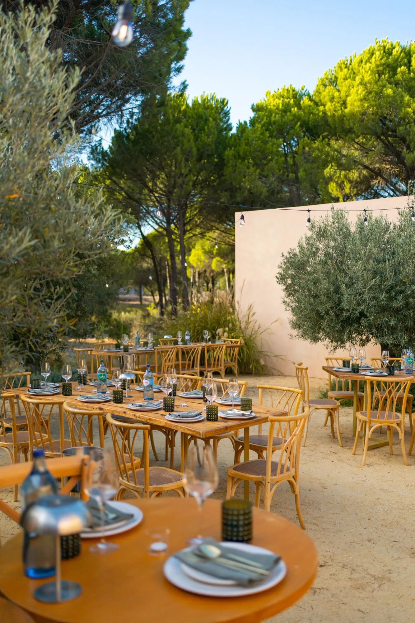 Tables set for dinner under the pines