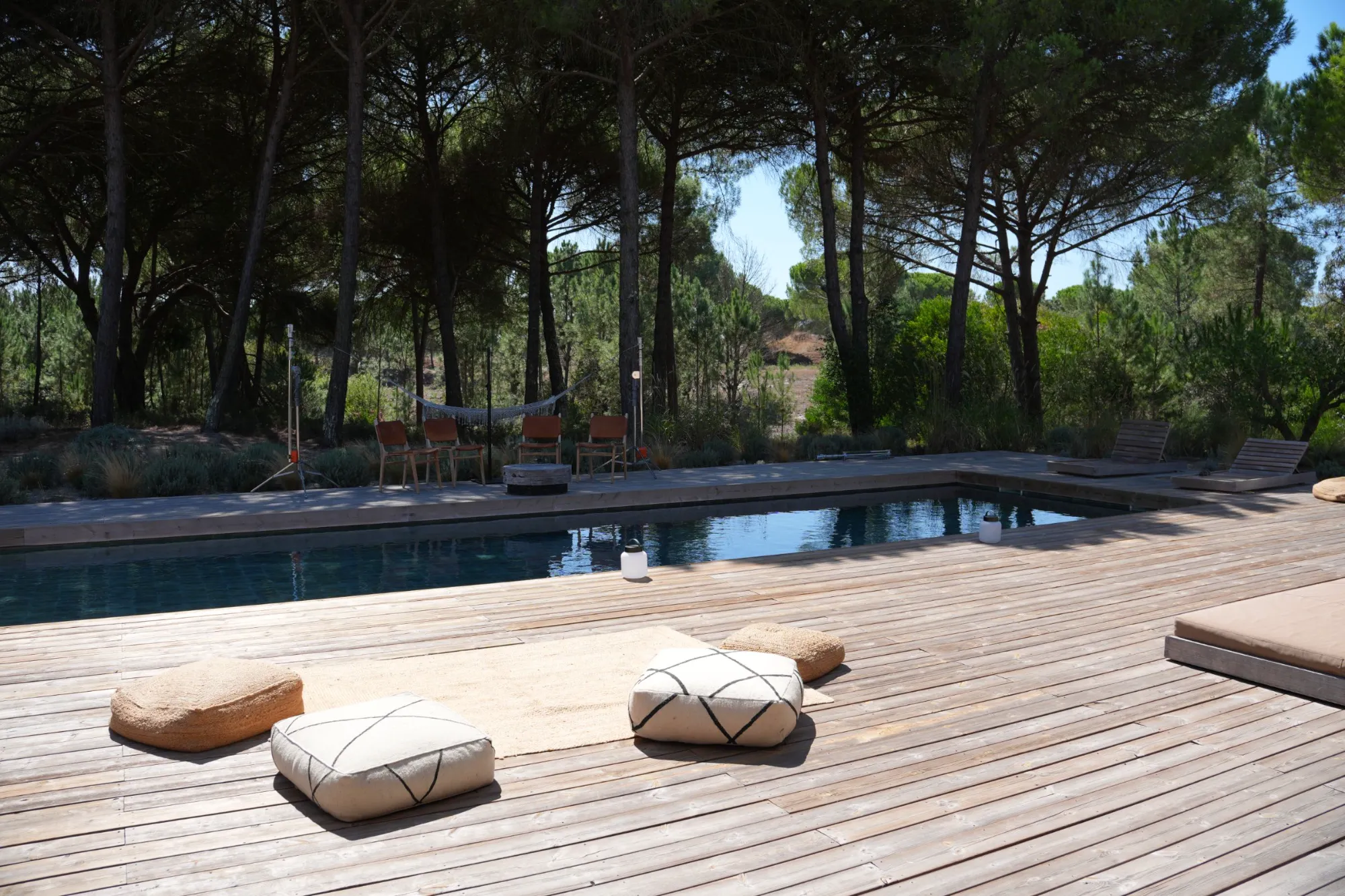 Pool deck under the stone pines