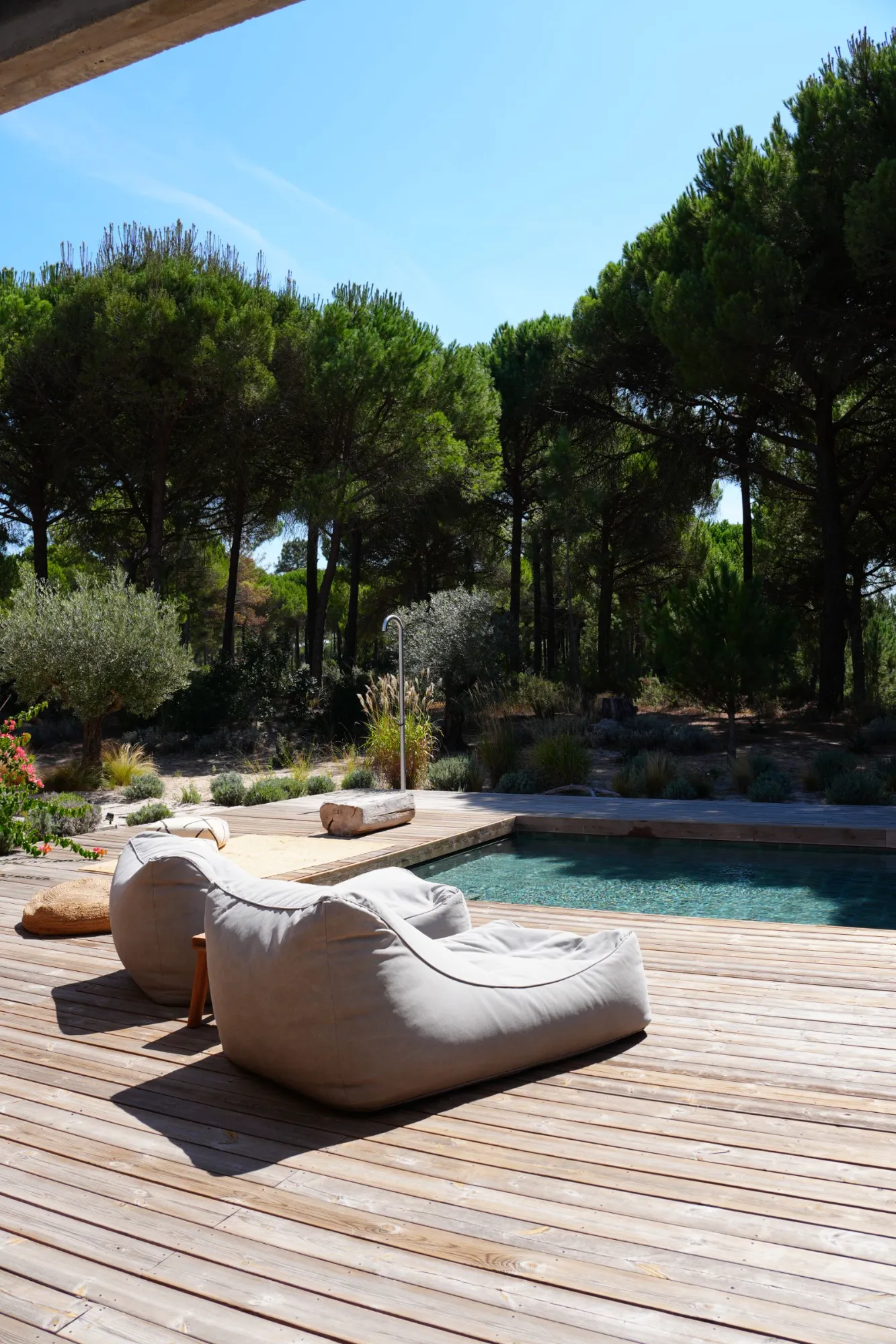 Poolside, shaded by the pines