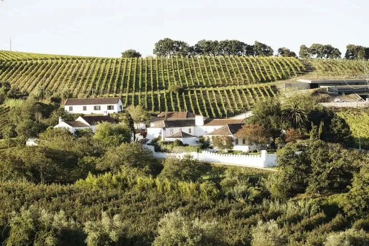 A historic Portuguese quinta among the quiet Oeste valleys