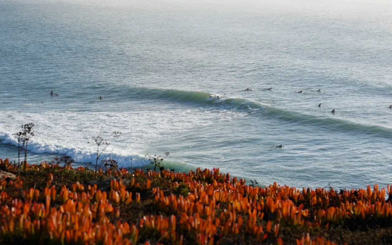 Surfers waiting for a wave below the clifftop near Ericeira
