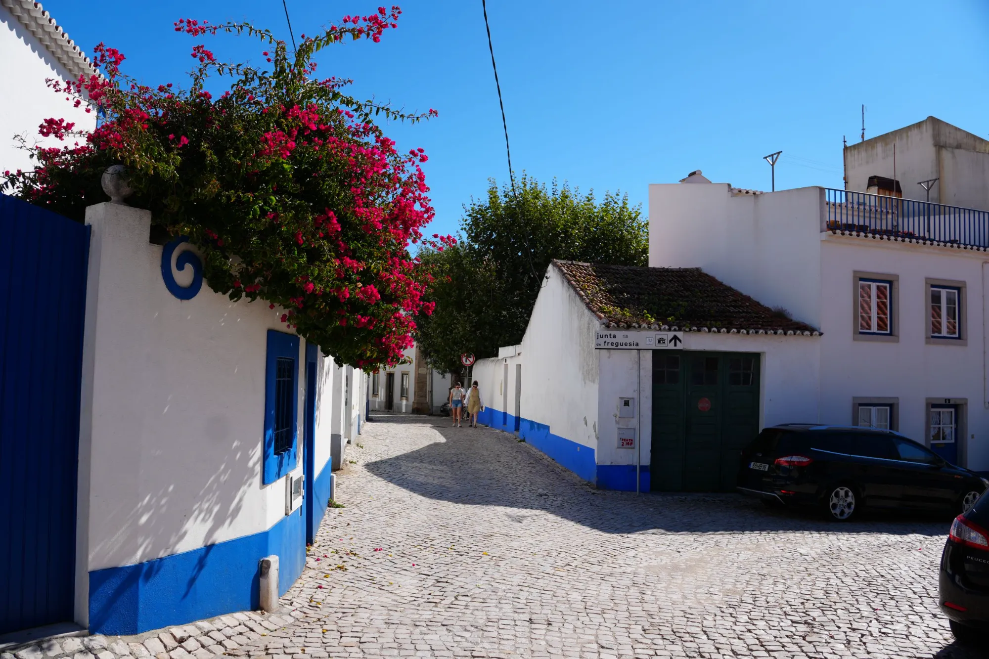Bougainvillea over a blue-trimmed wall