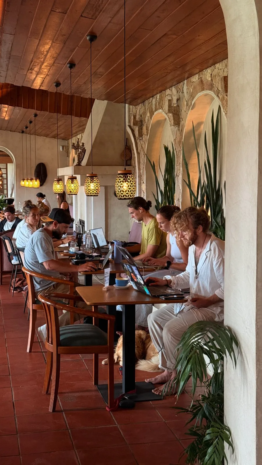A team working side by side on laptops under pendant lights